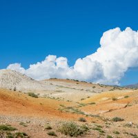 *** :: Николай Чекалин