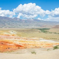 *** :: Николай Чекалин