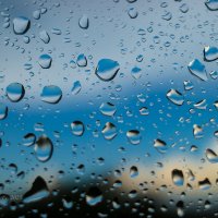 Макро капель дождя на стекле :: Александр Синдерёв