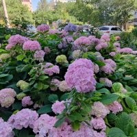 ,,, :: Сергей Тимоновский