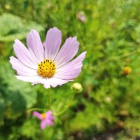 ,,, :: Сергей Тимоновский