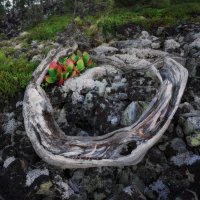 * :: Александр Иванов