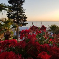 РИВЬЕРА :: Tata Wolf