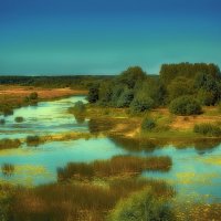 Ивановская область. Река Теза. :: Николай Феофанов