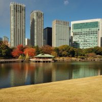 Чайный домик Токио Япония :: Civetta ***