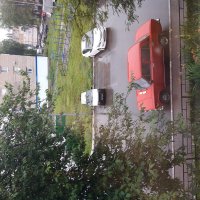 Мой двор. :: Венера Чуйкова