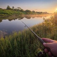 Летняя рыбалка :: Николай Дергачев