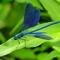 из сегодняшней съемки 3 :: Александр Прокудин