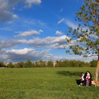 прогулка по полю :: Артём 