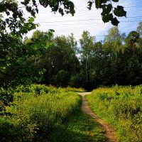 * * * :: Андрей Лукьянов * * * :: Андрей Лукьянов