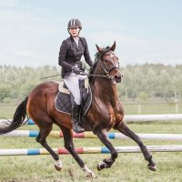 Конкур :: SanSan 