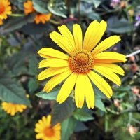 Слушая космос :: Валерий Иванович