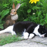 Умирающий от жары :: Людмила Смородинская