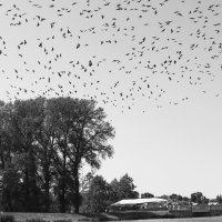 Беларусь :: skijumper Иванов Беларусь :: skijumper Иванов