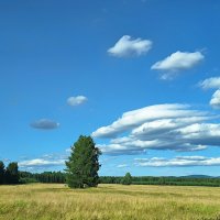 И по свету ветер пролетает :: Hope И по свету ветер пролетает :: Hope