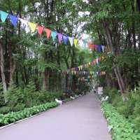 Центральная аллея :: Александр Ильчевский Центральная аллея :: Александр Ильчевский