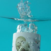 Байкальская нерпа :: Denis Doroshenko