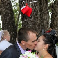 Свадьба :: victor Lion