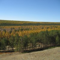 Осень :: Anna Ivanova