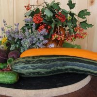 Лето. :: Венера Чуйкова Лето. :: Венера Чуйкова