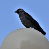 Лето. :: Венера Чуйкова