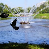 Оживили пейзаж с фонтаном. :: Василий Палий