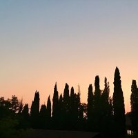 Кипарисы на закате :: Pippa 