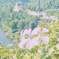 ЛЕ БО 5 (9) :: CLOSE WAYS ALL