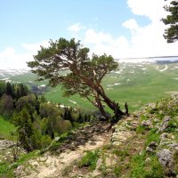 Лаго Наки :: Наталья 