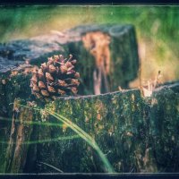 ..... ..... :: Руслан 