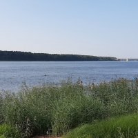 Нева :: Наталья Герасимова