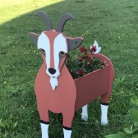 вазон :: zavitok *