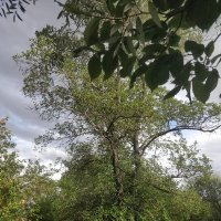 Летний день :: Андрей Хлопонин Летний день :: Андрей Хлопонин