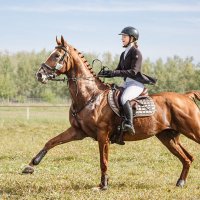 Конкур :: SanSan 