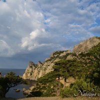 Природа Крыма :: Amazing Cosmea