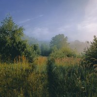 На природе :: Sergei Vikulov На природе :: Sergei Vikulov