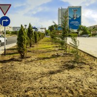 Актау :: Анатолий Чикчирный