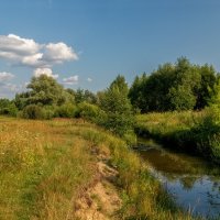 Жара июль 6 :: Андрей Дворников