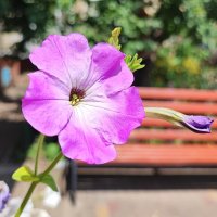 ,,, :: Сергей Тимоновский