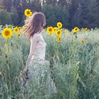 Солнечного Счастья Вам, друзья! :: Светлана Лапка