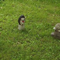 Обитатели сада :: Freddy 97