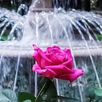 жаркое лето 25-го :: Сергей Б.