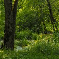 ***** :: юрий поляков ***** :: юрий поляков