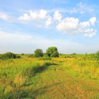 Утро за городом :: Андрей Снегерёв