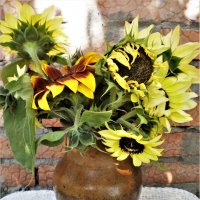 Лето. :: Венера Чуйкова