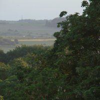 Весна с балкона... :: Syntaxist (Светлана) Весна с балкона... :: Syntaxist (Светлана)