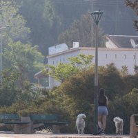 Уторо :: Аркадий Басович Уторо :: Аркадий Басович