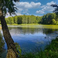 Пруд :: Cергей Александров