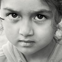 Зрит в корень :: СЮ 