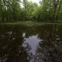 Тихий омут... :: Иван К
